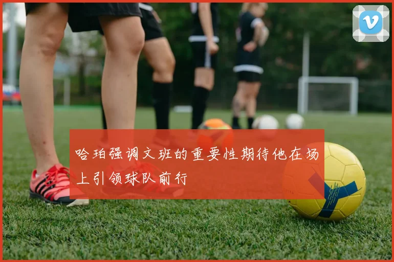 哈珀强调文班的重要性期待他在场上引领球队前行