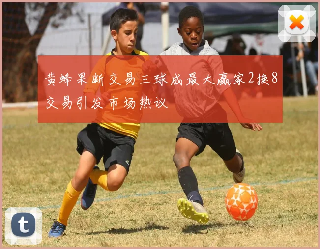 黄蜂果断交易三球成最大赢家2换8交易引发市场热议