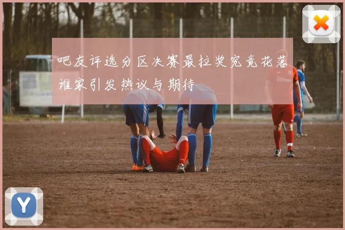 吧友评选分区决赛最拉奖究竟花落谁家引发热议与期待