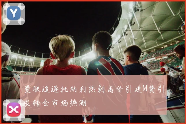 曼联追逐托纳利热刺高价引进M费引发转会市场热潮